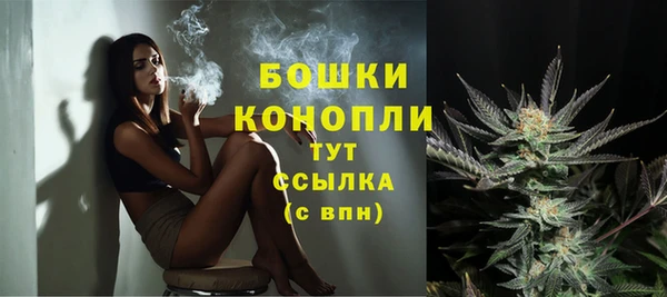 ГАЛЛЮЦИНОГЕННЫЕ ГРИБЫ Богородск