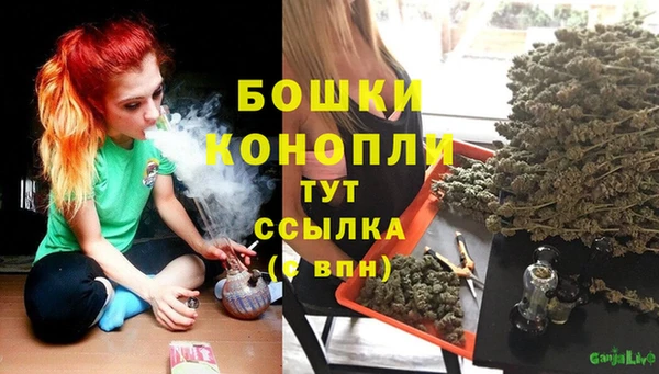 шишки Богданович