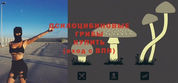 MDMA Premium VHQ Богородицк