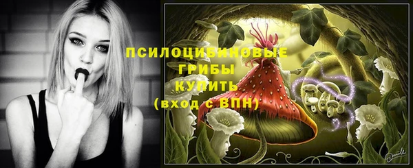 ГАЛЛЮЦИНОГЕННЫЕ ГРИБЫ Богородск