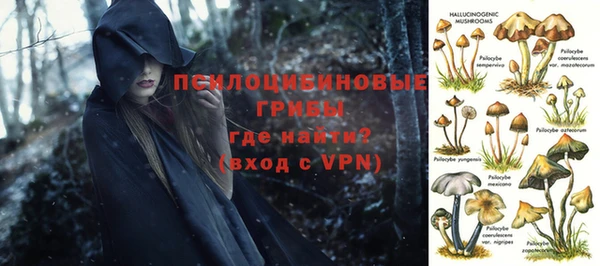 шишки Богданович