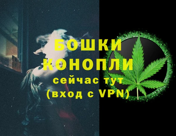 шишки Богданович