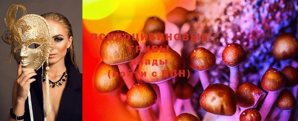 ГАЛЛЮЦИНОГЕННЫЕ ГРИБЫ Богородск