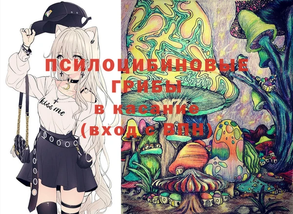 шишки Богданович